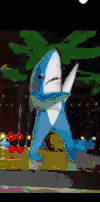 鲨鱼 shark 表演  节目