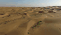 沙漠 一望无际 干旱 风景