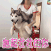 狗 抱起壮壮的你 soogif