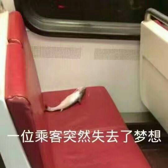一位乘客突然失去了梦想 座位 咸鱼 搞笑