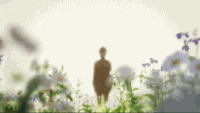 暮春时节 暮春时光 暮春