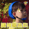 萌宠小大人 泰勒 眼神警告你 soogif soogif出品