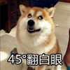 萌宠 汪星人 45度翻白眼 无语 呆萌 搞怪