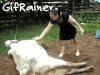 奶牛 cow 装死 踹