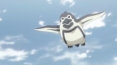 企鹅 penguin 飞翔 卡通