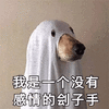 狗 刽子手 感情 搞怪 逗