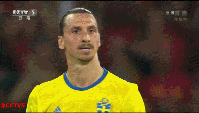 2016欧洲杯 瑞典 伊布 告别