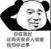 熊猫人 你在就好这两 天很多人偷猪