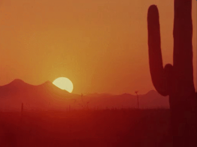 沙漠 desert 夕阳 景观