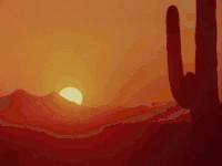 沙漠 desert 夕阳 景观