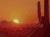 沙漠 desert 夕阳 景观