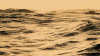 海浪 翻滚 大海 波浪
