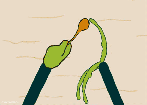 勺子 绘画 绿色