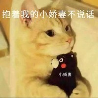 猫咪 可爱 毛茸茸 抱着我的小娇妻不说话