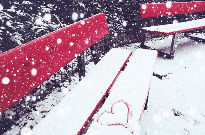 公园   长椅   小雪   爱情