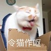 萌宠 喵星人 令猫作呕 想吐 搞怪 逗