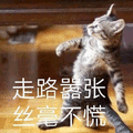 嚣张 不慌 猫