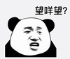 暴漫 文字表情包 望乜望 搞笑 沙雕 魔性