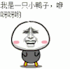 小鸭子 咿呀咿呀哟 金馆长 卡通 设计