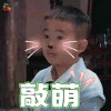 爸爸去哪儿第五季 爸爸去哪儿5 爸爸去哪儿第五季第13期 jasper 小小春 超萌 soogif soogif出品