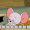 猫和老鼠 哈哈哈哈哈 开心 兴奋 soogif soogif出品