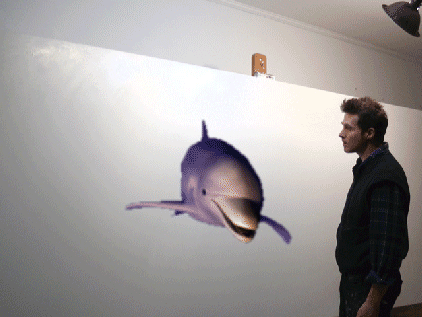 海豚 dolphin 3D