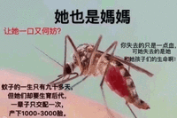 沙雕图 沙雕表情包 今日沙雕