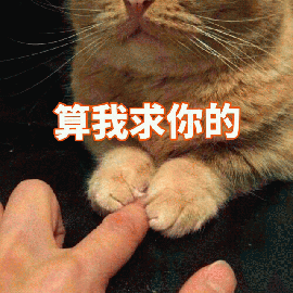 萌宠 猫 猫咪 喵星人 握手指 算我求你的 搞怪