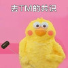 鹦鹉兄弟 黄色 红脸蛋 去TM的共识