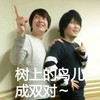 鸟儿成双 搞笑 帅气 开心