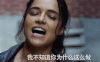 速度与激情8