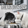 狗 汪星人 萌宠 狗粮 猫 喵星人 soogif soogif出品