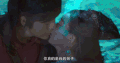 接吻 帅哥 青春 酷酷的 古装剧 唯美 陈伟霆 赵丽颖