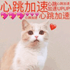 沙雕猫 猫咪 猫 可爱猫 猫表情包 猫咪表情包 小猫