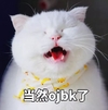 萌宠 猫咪 猫 我觉得ok ok 赞 ojbk