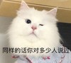 萌宠 猫星人 同样的话你对多少人说过 好奇 呆萌 可爱