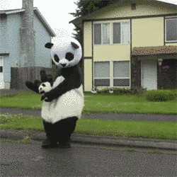 熊猫 跳舞 甩甩