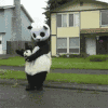 熊猫 跳舞 甩甩