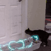 喵星人 猫 可爱 萌