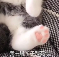 萌宠 猫星人 一脚丫踹死你 搞怪 逗