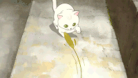 动漫 猫咪 玩耍 可爱