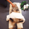 萌宠 猫星人 抓痒 精致 享受 搞怪