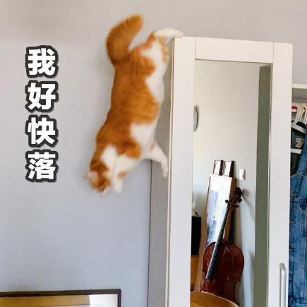 猫咪 喵星人 文字表情包 沙雕 魔性