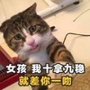 萌宠 猫星人 我是十拿九稳 就差你一吻 呆萌 搞怪 逗