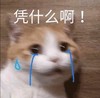 萌宠 猫星人 凭什么啊 流泪 搞怪 逗