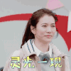 妻子的浪漫旅行 袁咏仪 灵光一现 搞怪