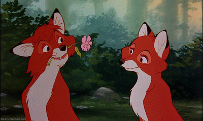 狐狸 罗宾汉 狐狸 红狐狸 狐狸和猎犬 了不起的狐狸爸爸 迪斯尼的罗宾汉 foxkin 狐狸的 狐狸和孩子