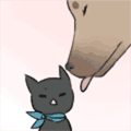 猫咪 狗狗 有爱 舔舔