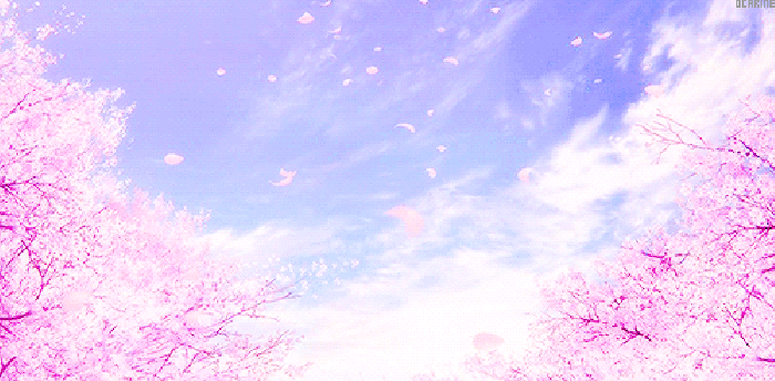 樱花 蓝天 花瓣 飘落