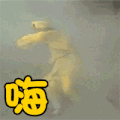 嗨起来 跳舞 孙悟空 逗比